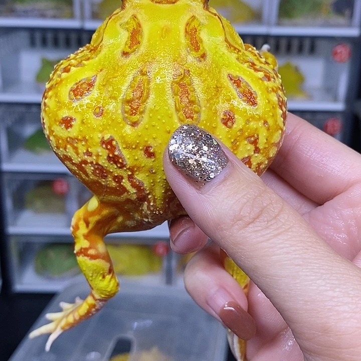 特价秒杀现货特价瑕疵