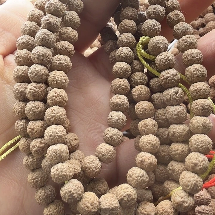 聽***客金刚菩提吊坠一代龙7-8