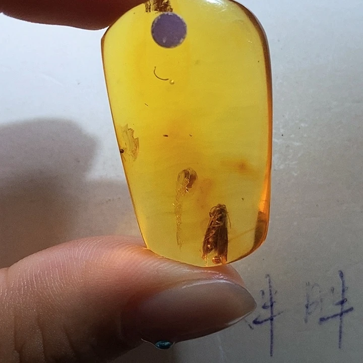 定制琥珀琥珀虫珀吊坠