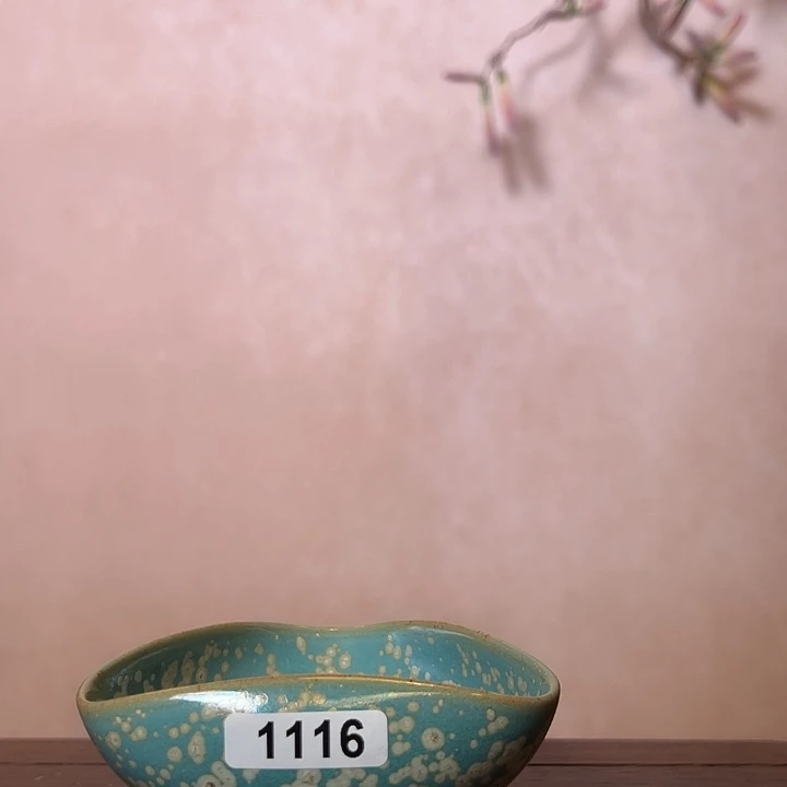 澈***呀缸1116000000000000