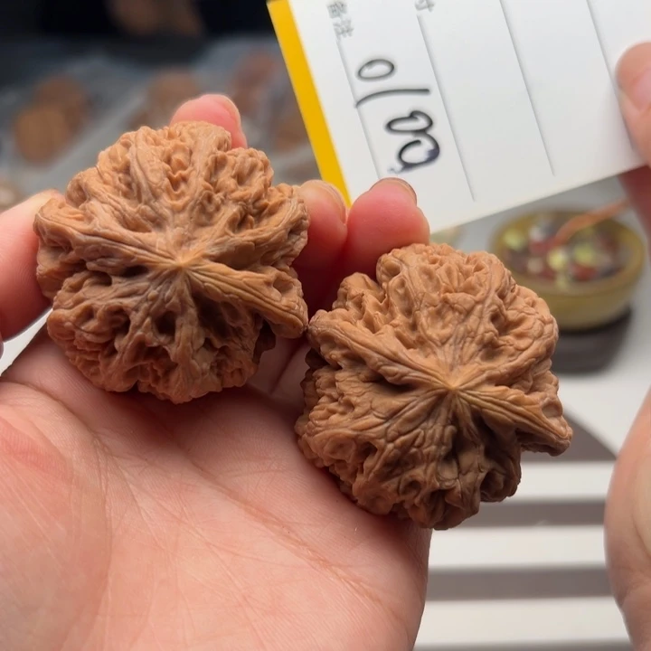 核桃47大粗筋0100