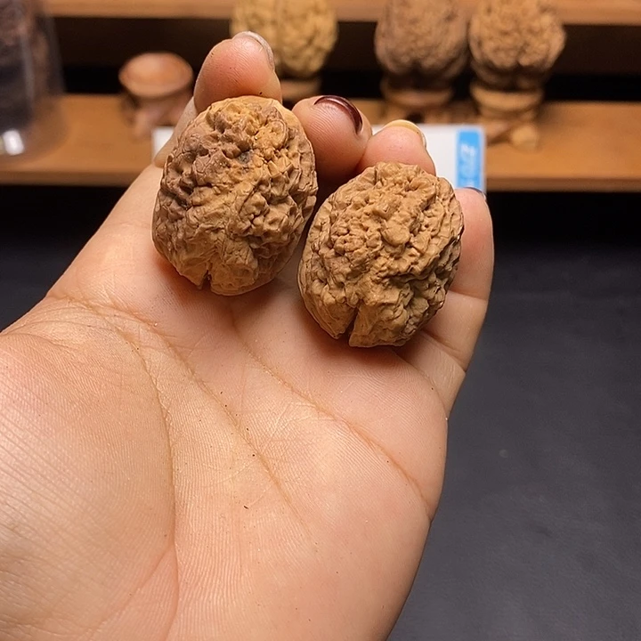 把件文玩核桃云南文核桃55号32m