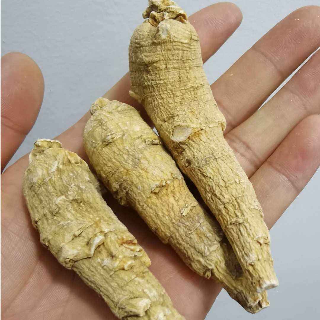 边境山货（大/希/杨/生）非菌菇