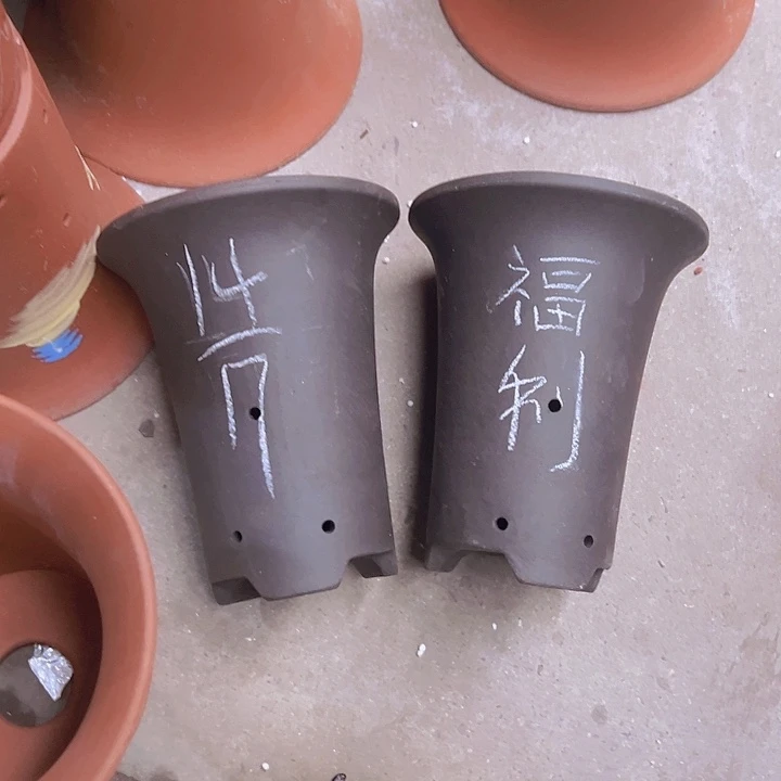 周三周四再说再说在的