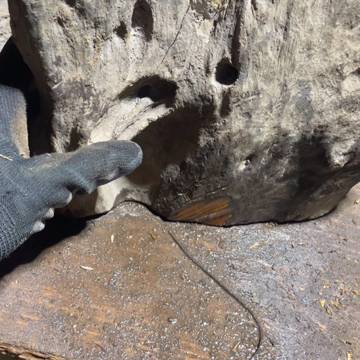 清***在楠木把件感谢大家