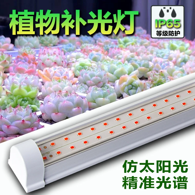 防水植物生长灯多肉玫瑰月季兰花鹿角蕨龟背竹龙舌兰太阳花仙人球