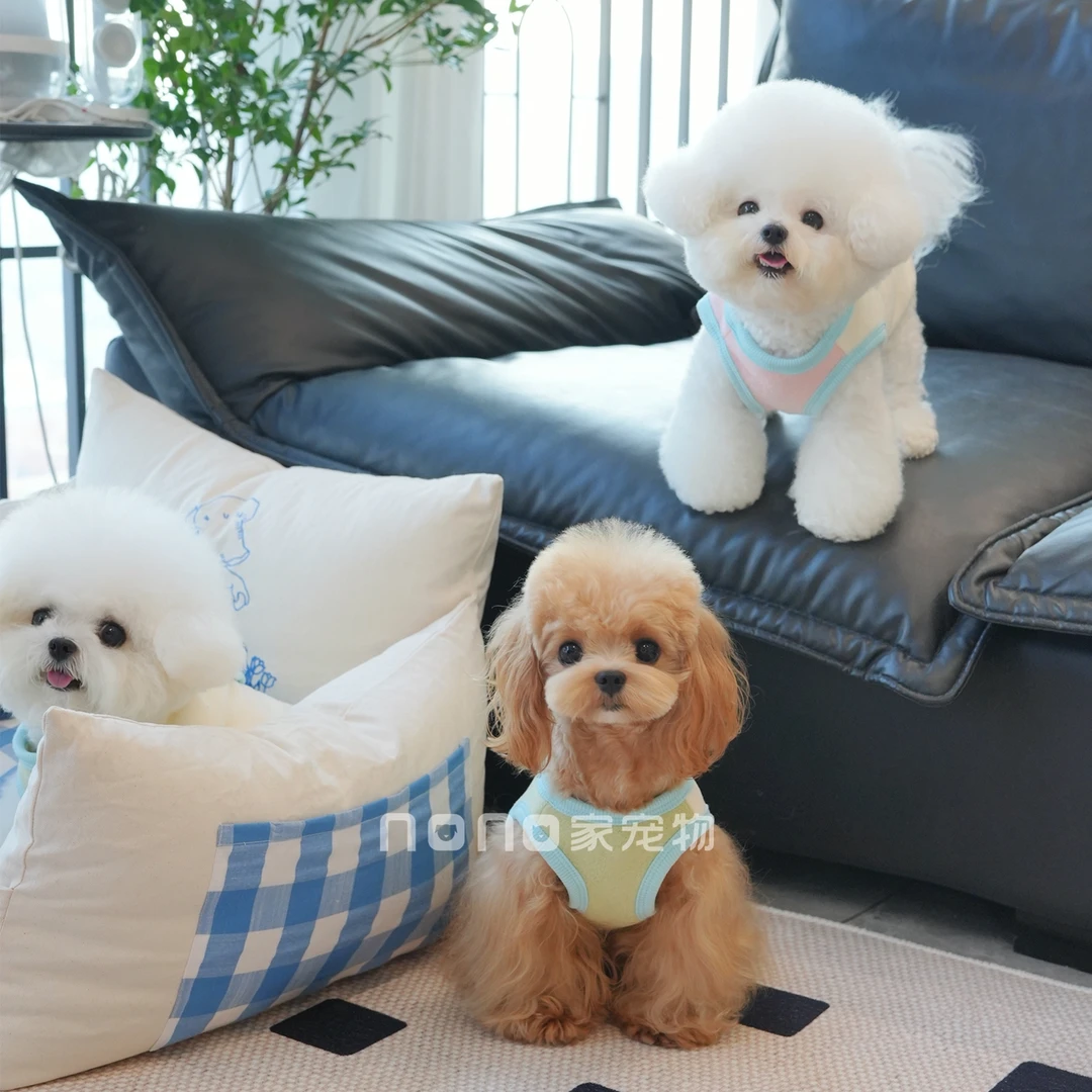 狗狗衣服秋冬新款马卡龙色拼接马甲背心舒适保暖宠物猫咪比熊泰迪