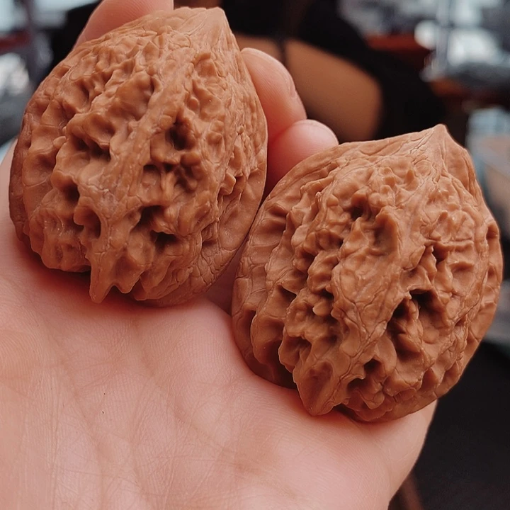 核桃40尺大沽石核桃