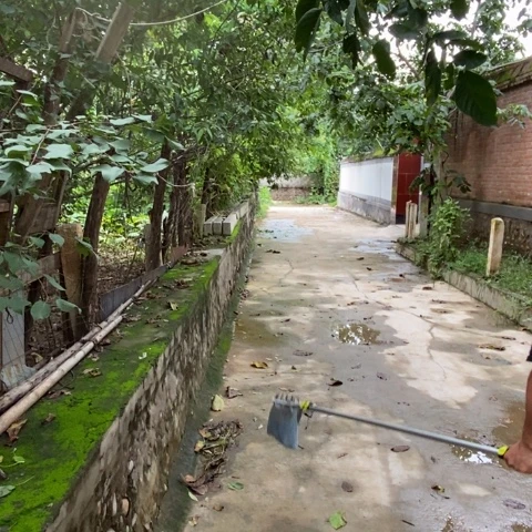 ?****࿐哈么头大果4个