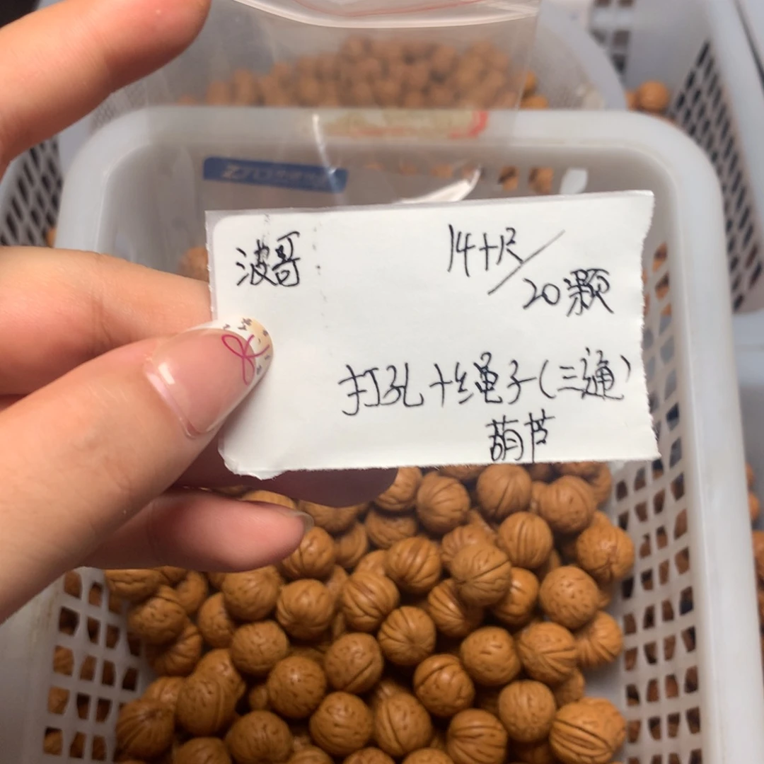 异形籽葫芦1颗籽111
