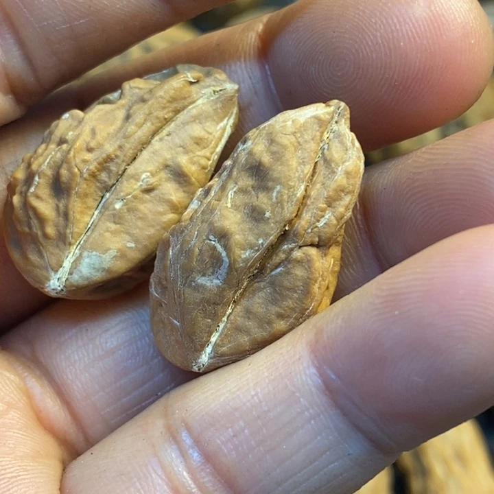 文玩核桃吊坠娜姐180