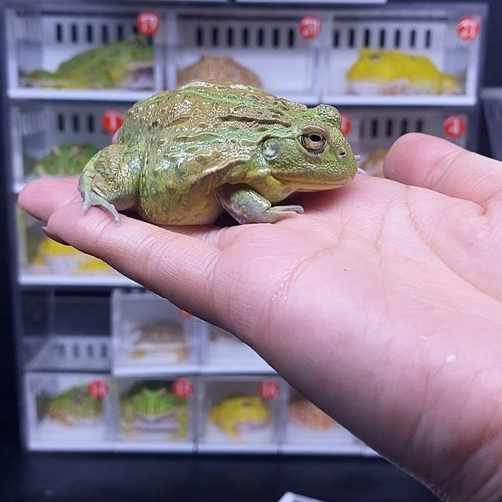 特价促销特价活动