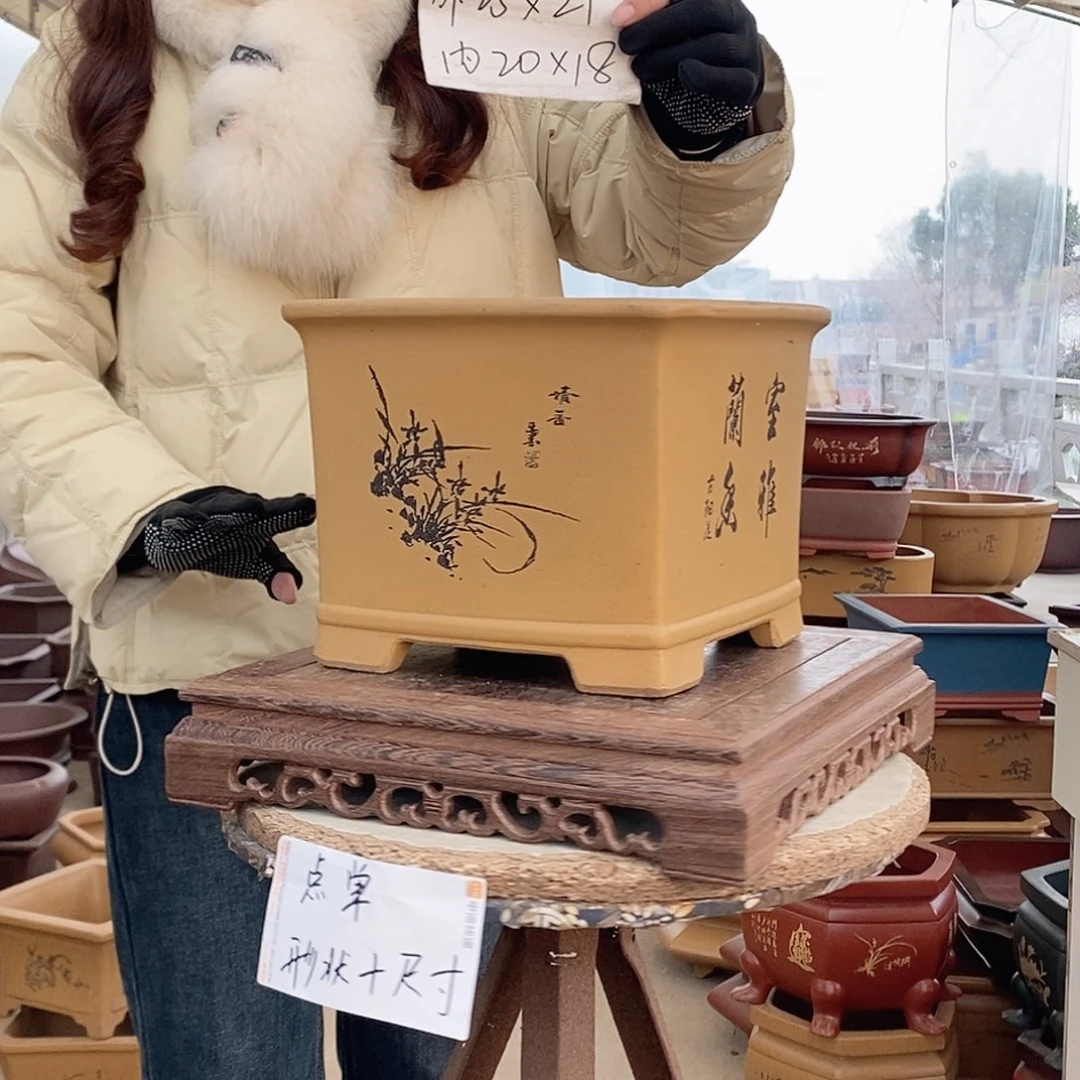 紫砂花盆紫砂花盆