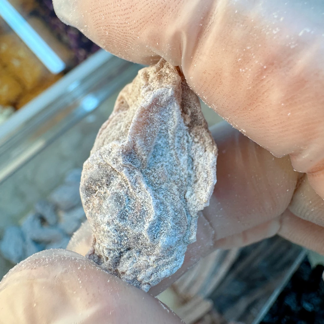 小施哥坚果）青梅抱葡萄纯酸