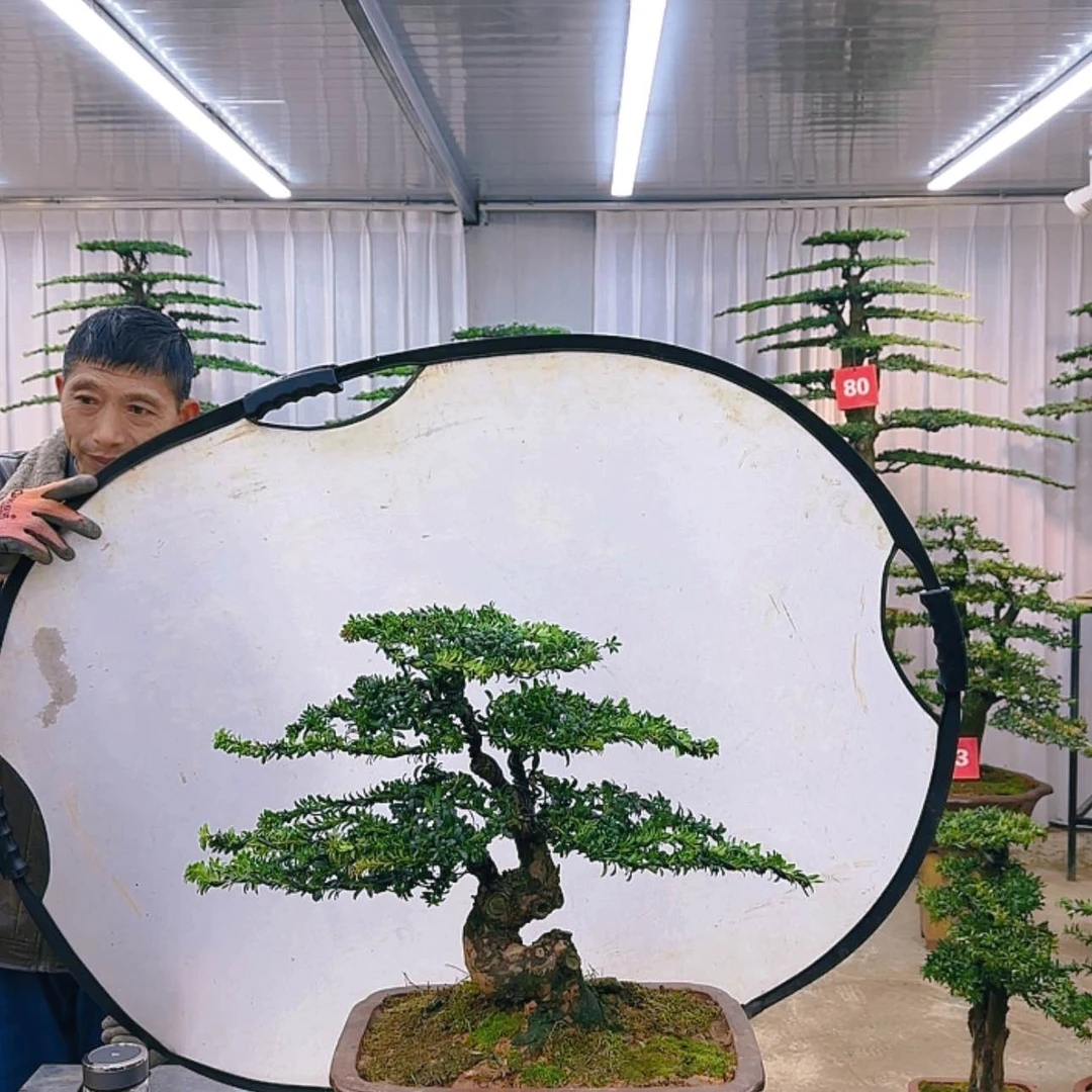 【闪购商品】000000