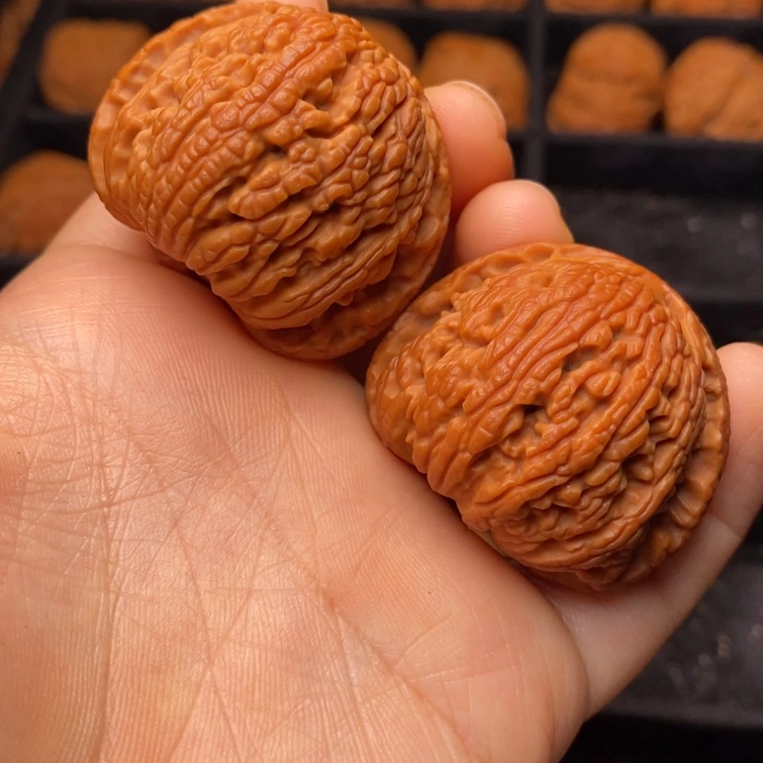 文玩核桃把件秦岭野生核桃
