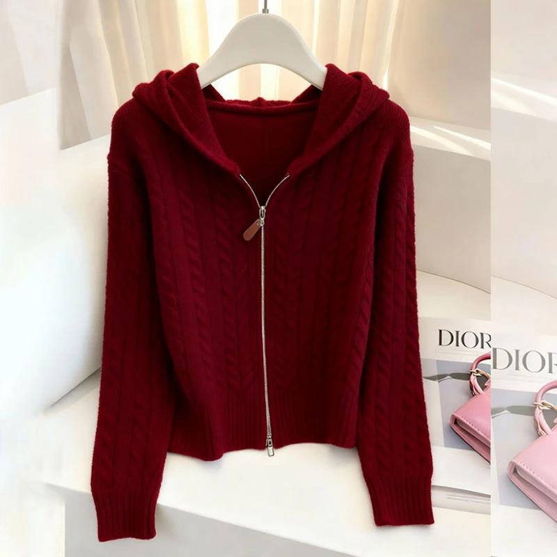 2025秋冬款连帽针织开衫毛衣女气质轻熟风上衣设计感别致百搭小衫