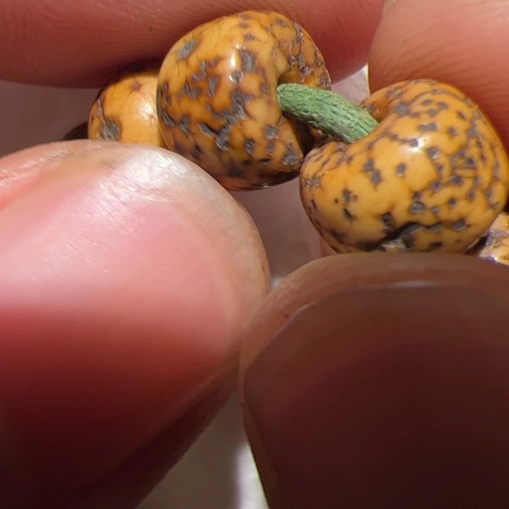 玻璃DIY你在一起的时候