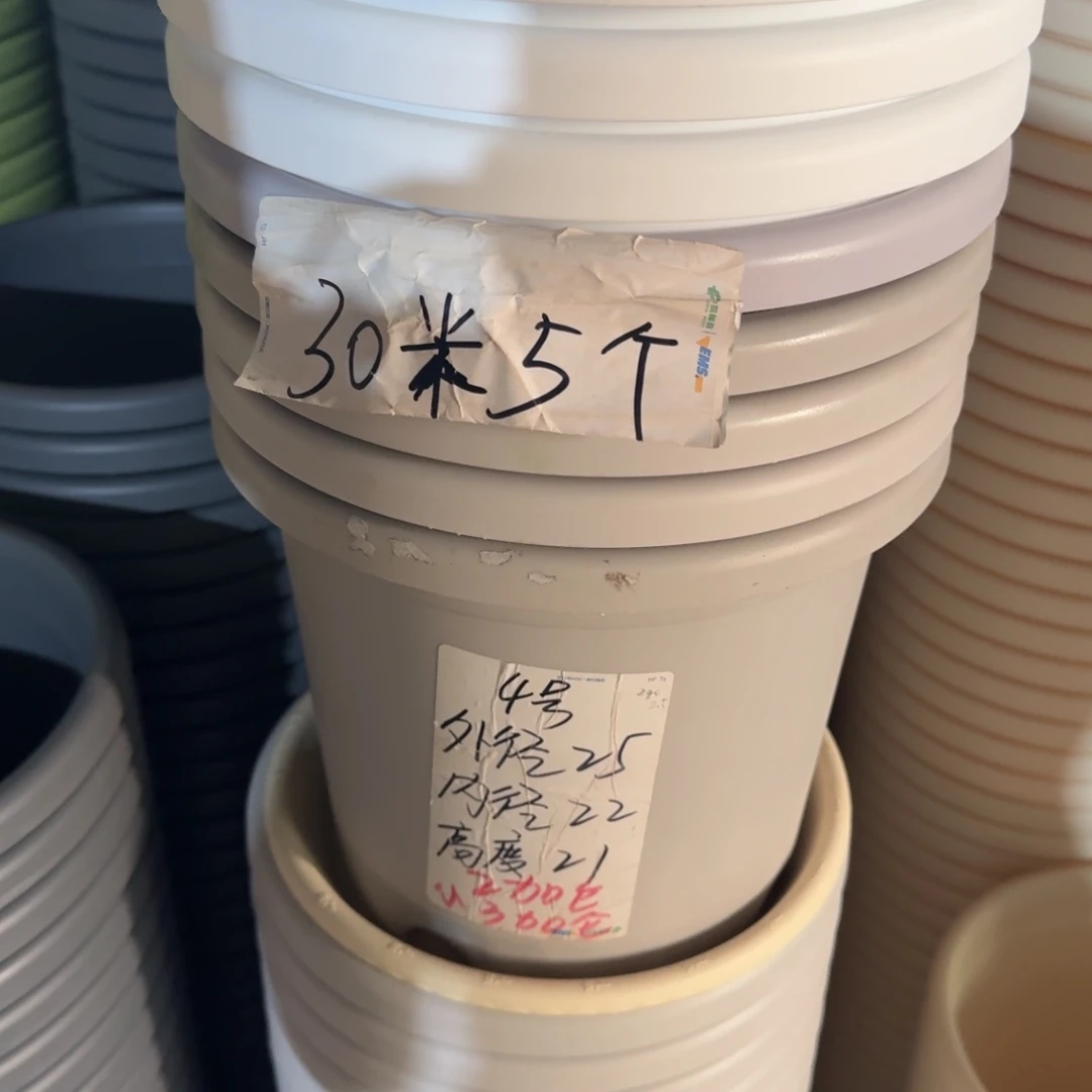 微瑕4#无拖纯白8个