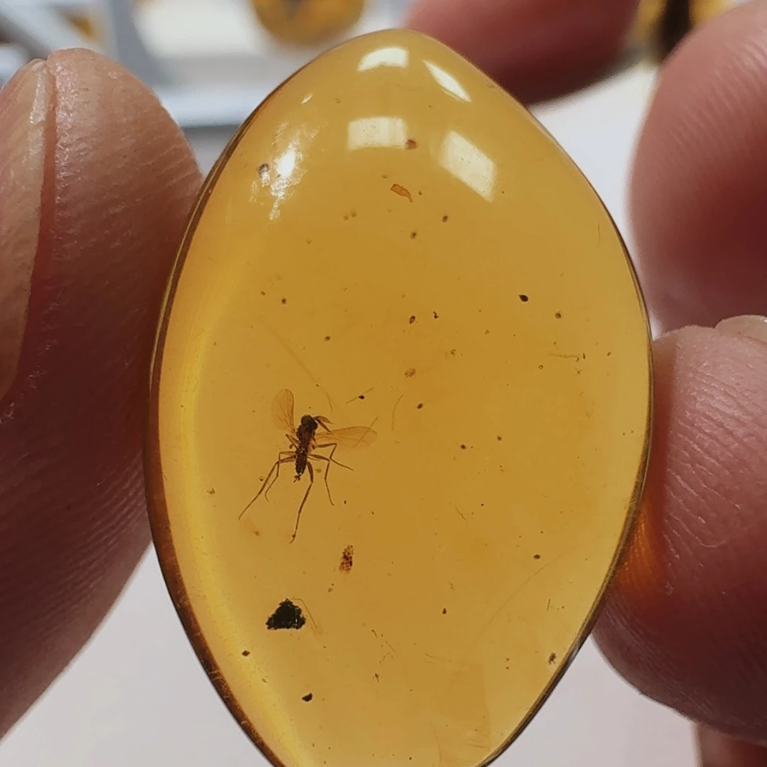 【闪购商品】琥珀裸石未镶嵌天然缅甸琥珀吊坠