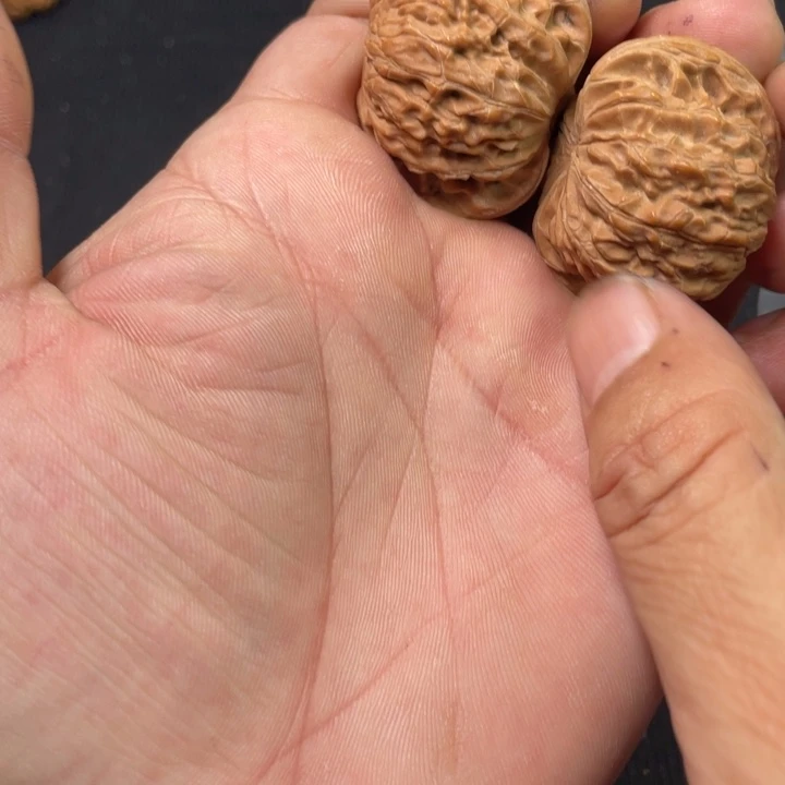 沉***敛菩提籽类磨盘全品