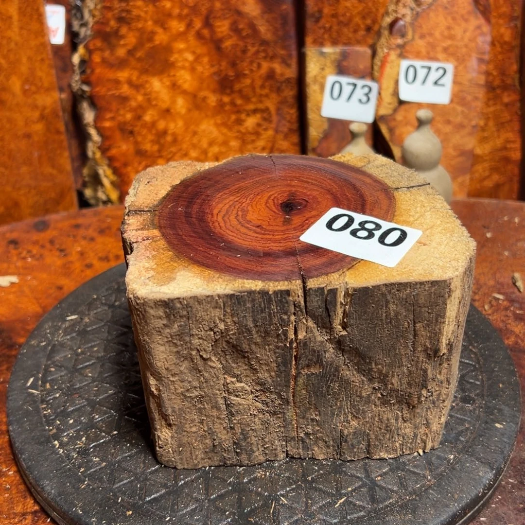 大果紫檀（缅甸花梨）