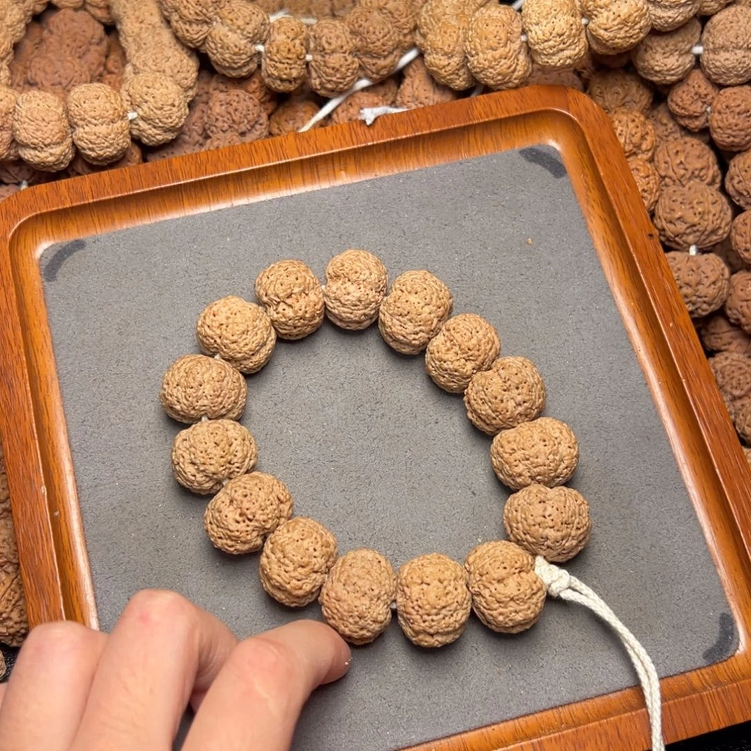 菩提8号尼泊尔大金刚22五星熊猫菠萝蜜