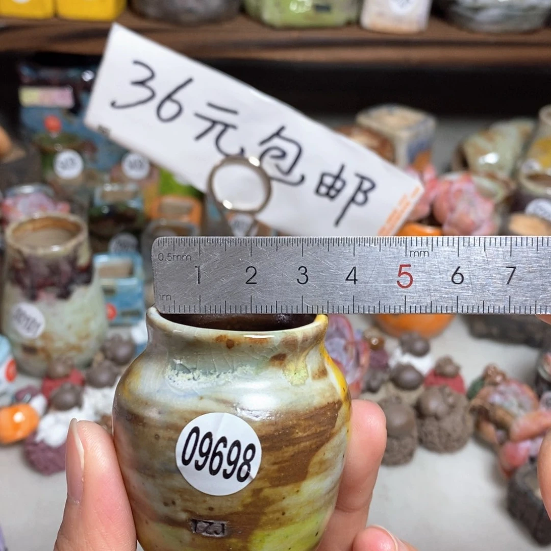 拍5送一个小礼物