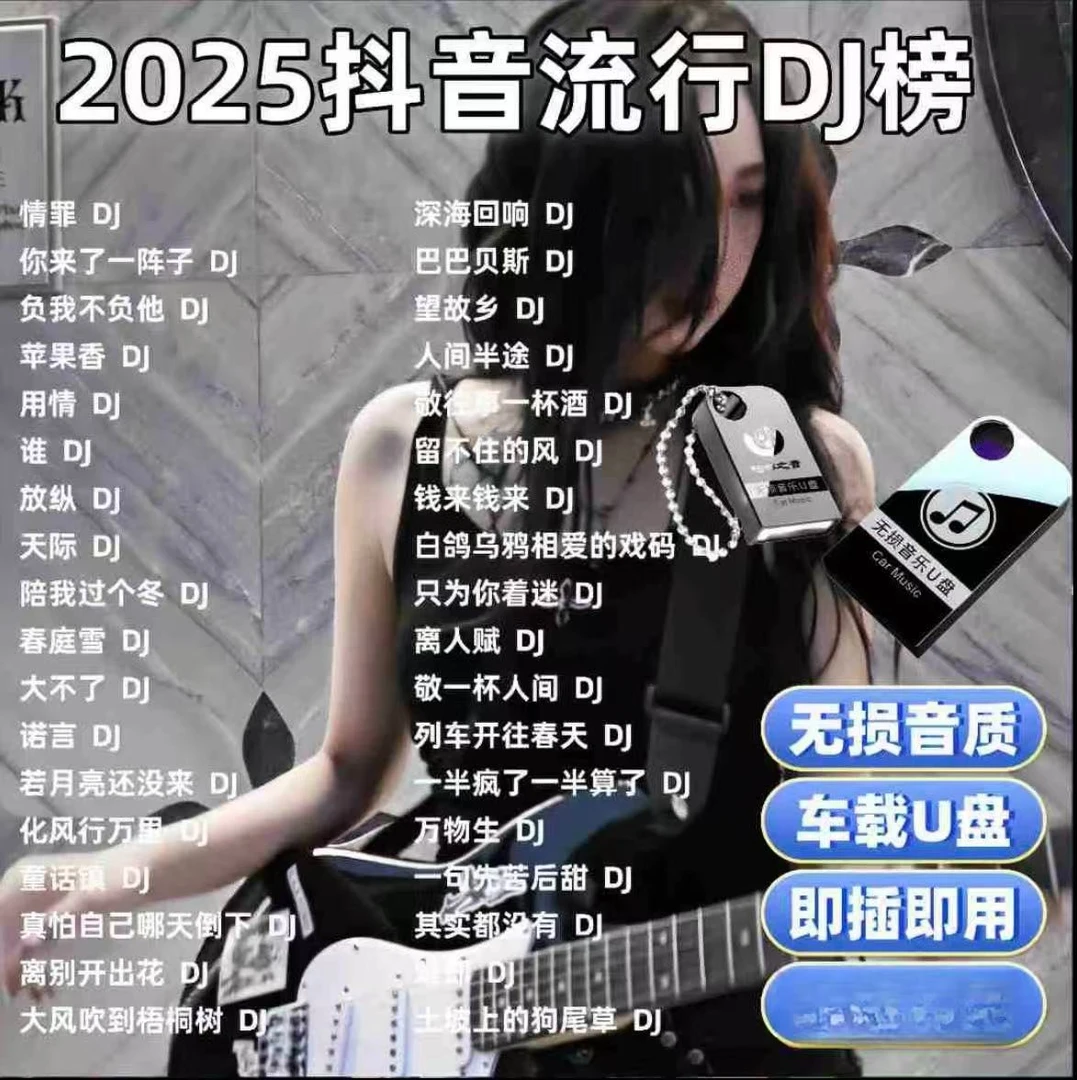 2025抖音流行dj舞曲U盘精选重低音DJ嗨曲无损柏林之声dj音乐u盘