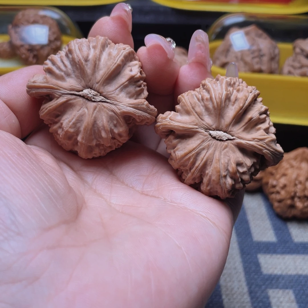 额***核桃43白狮子文玩