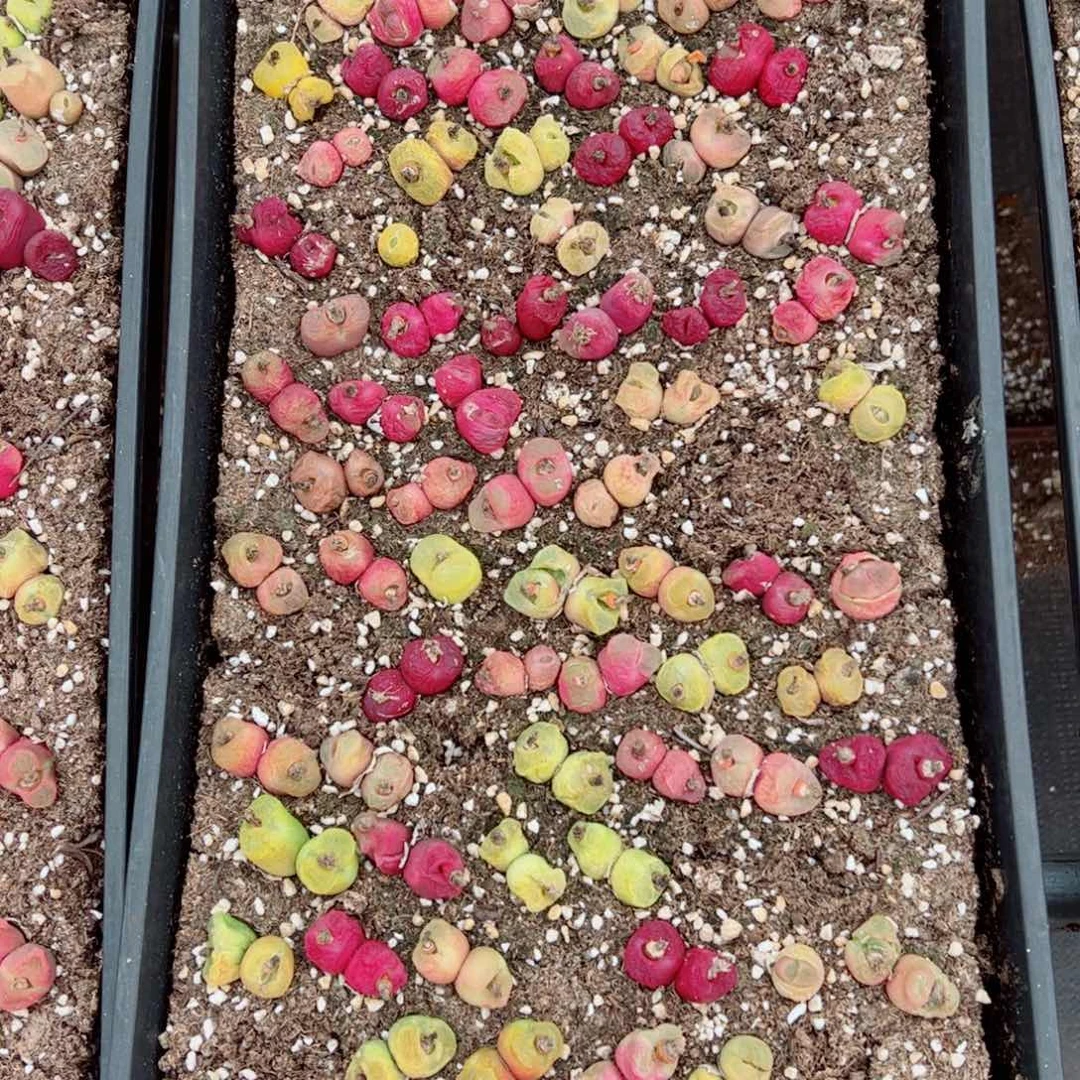 尹*.我很喜欢这个F223