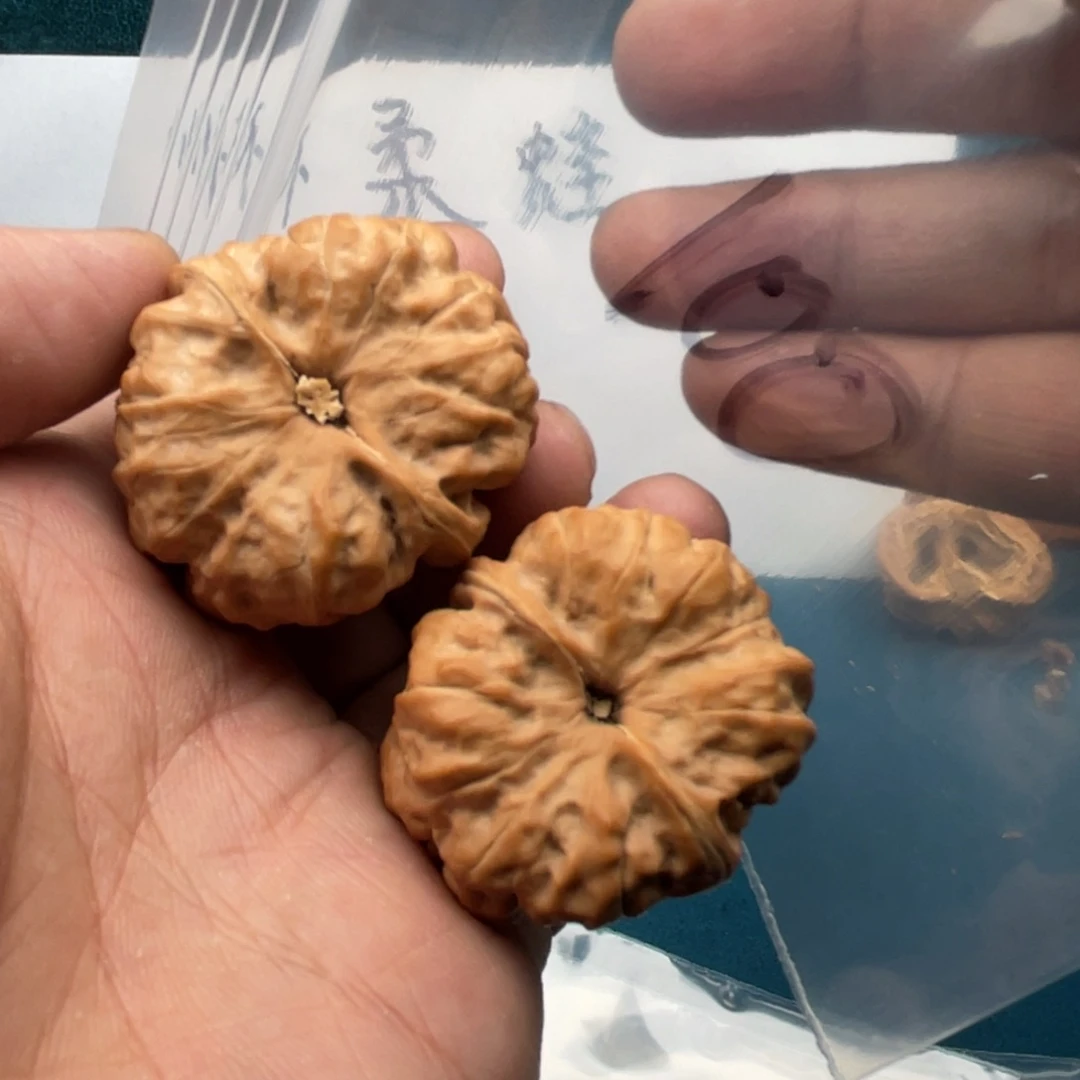 核桃手串/手链W469479479486846684