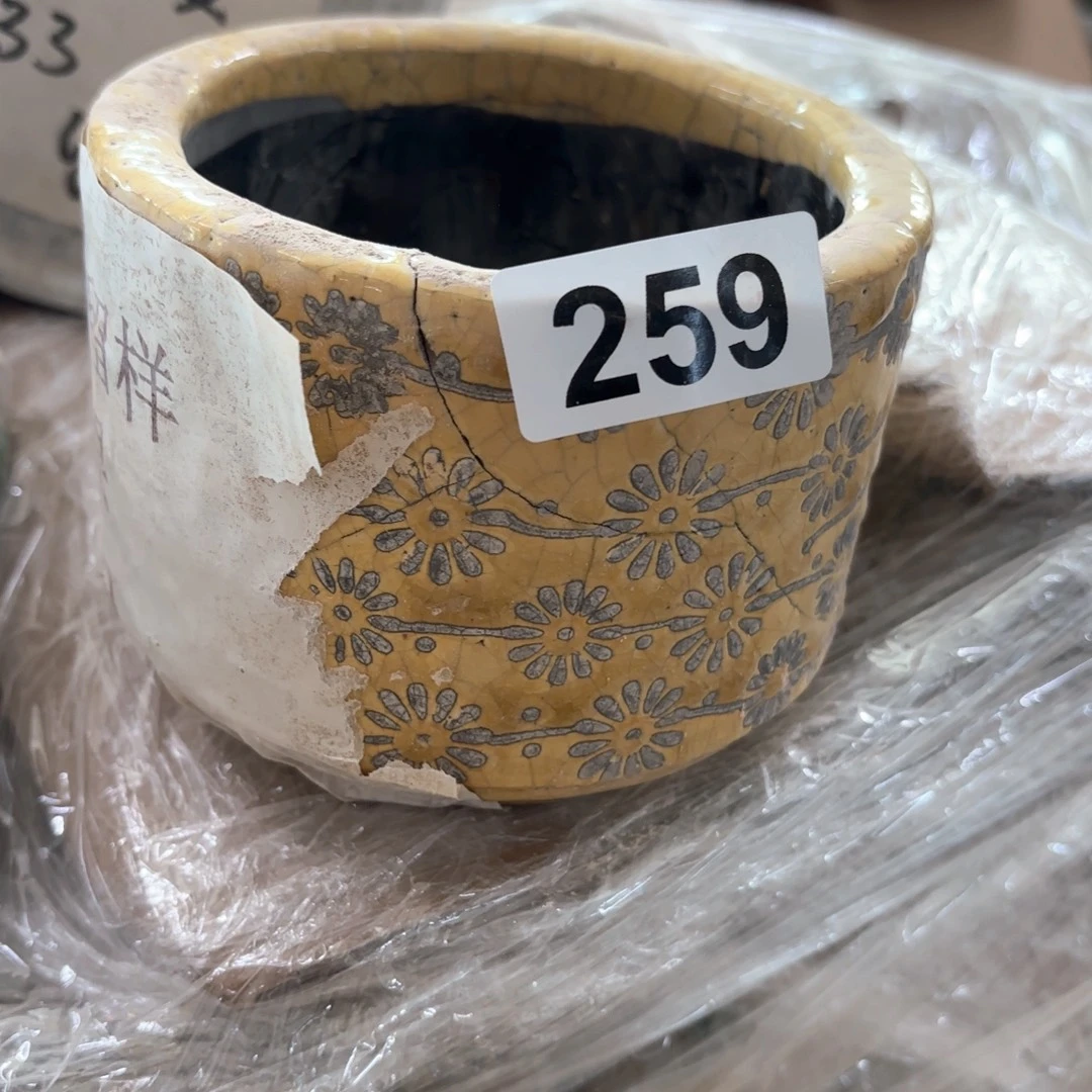 许纯的花房 孤品259