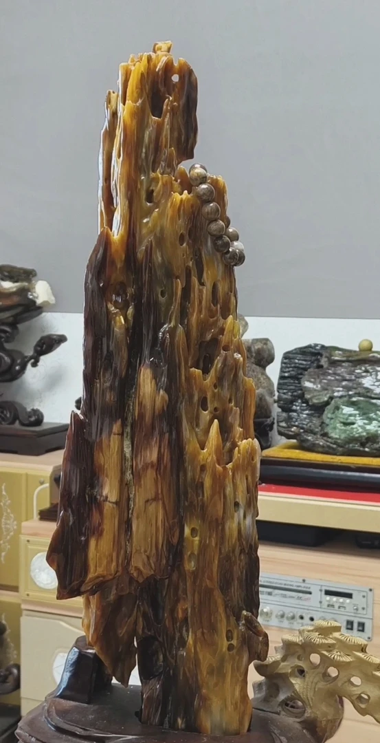 树化玉(植物舍利子有机宝石)《听海观音》