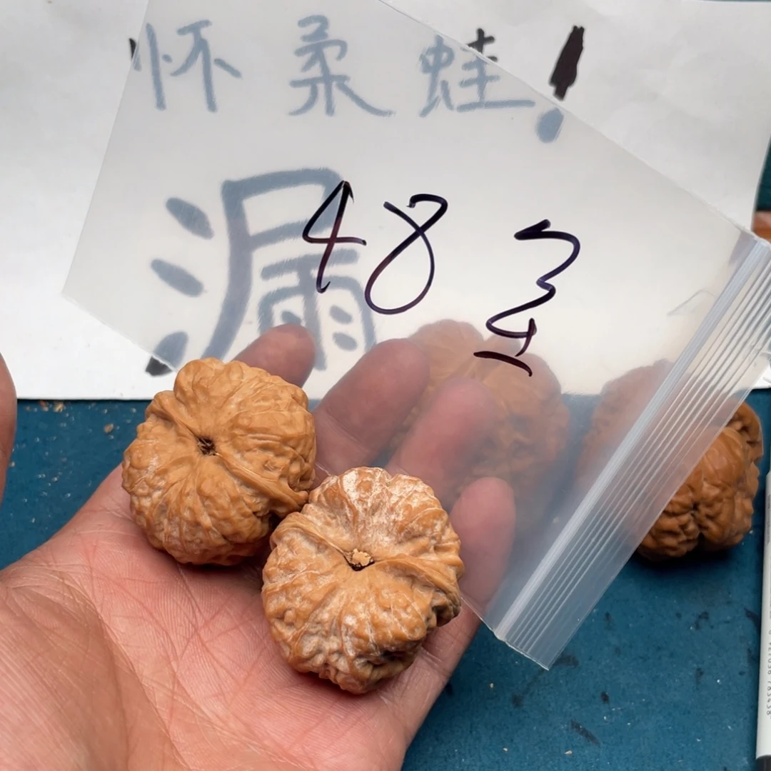 核桃56757375353573753