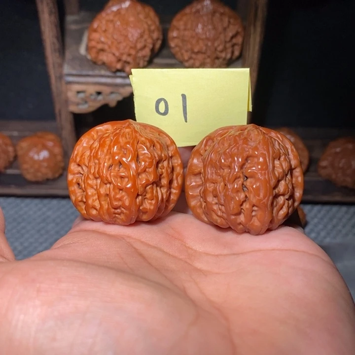 把件桃核38尺白狮子