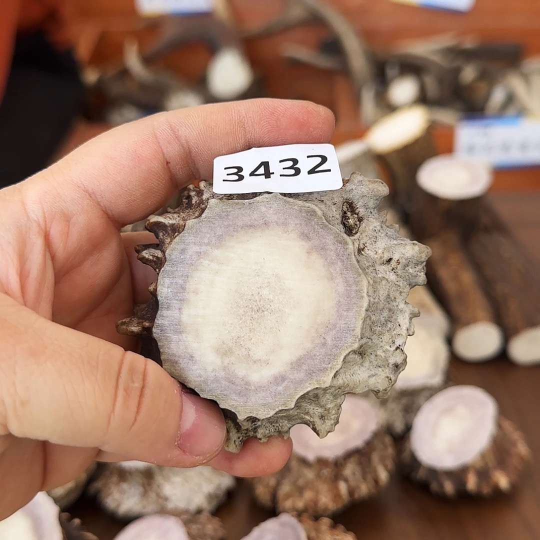 手串/手链鹿骨角帽3432