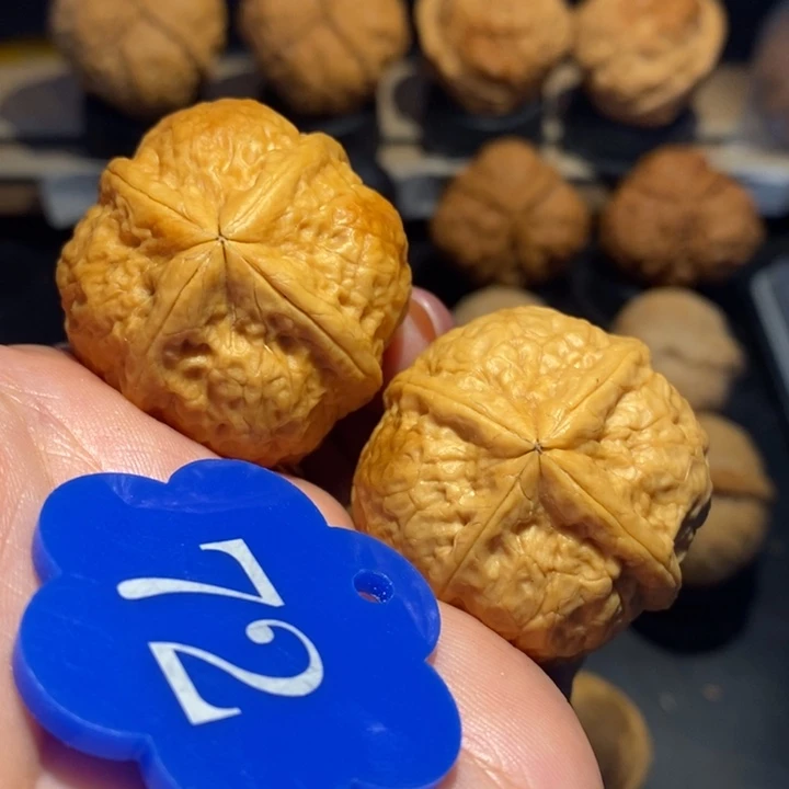 核桃随*佛塔四棱尺寸36