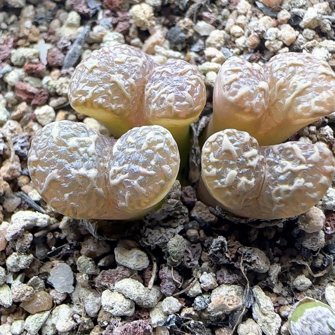 哈哈哈哈哈哈哈47320