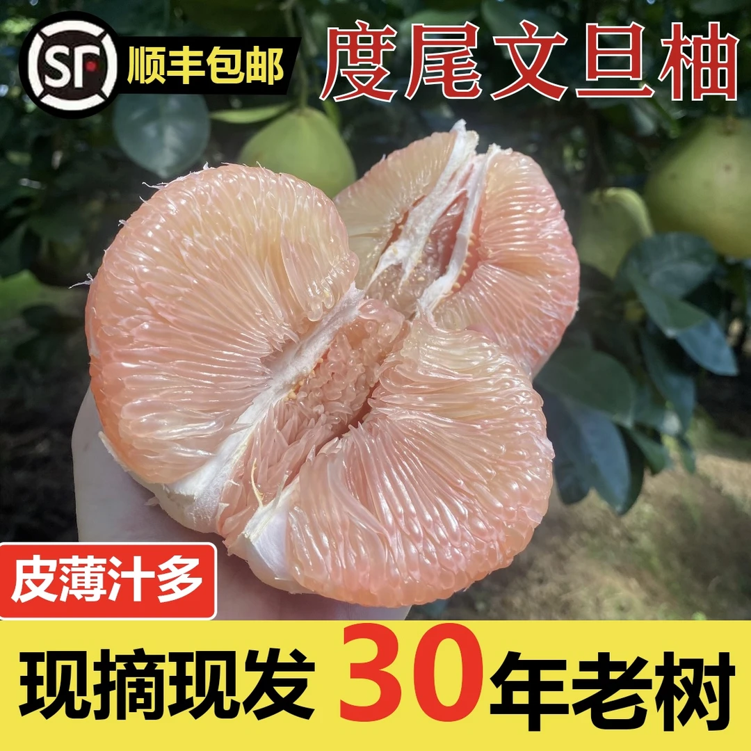 【顺丰包邮】正宗度尾红心文旦柚蜜柚新鲜应季水果孕妇水果酸甜多汁