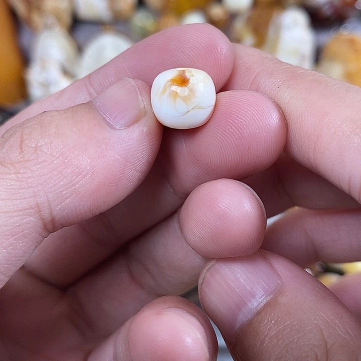 琥珀未镶嵌裸石我