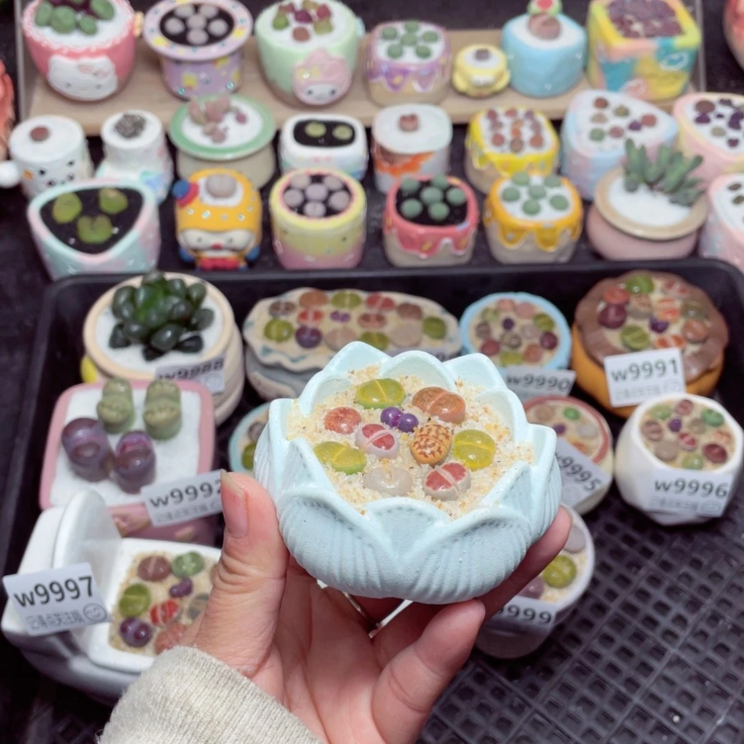 w 1000 -零下地区拍保温箱-15支持寄养