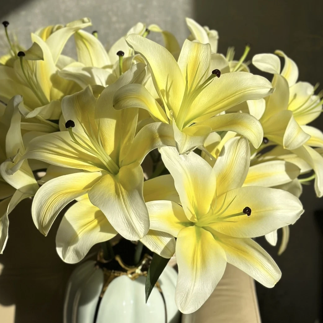 金色浪漫 香水百合盆栽带花苞发货室内室外观花植物养护开养美观