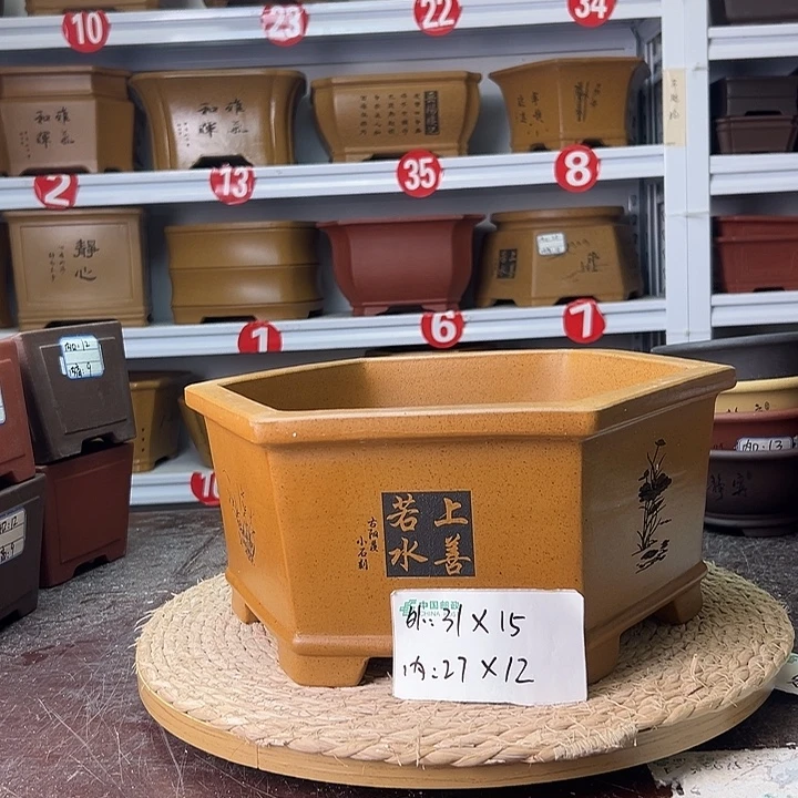 紫砂花盆蛇年大吉