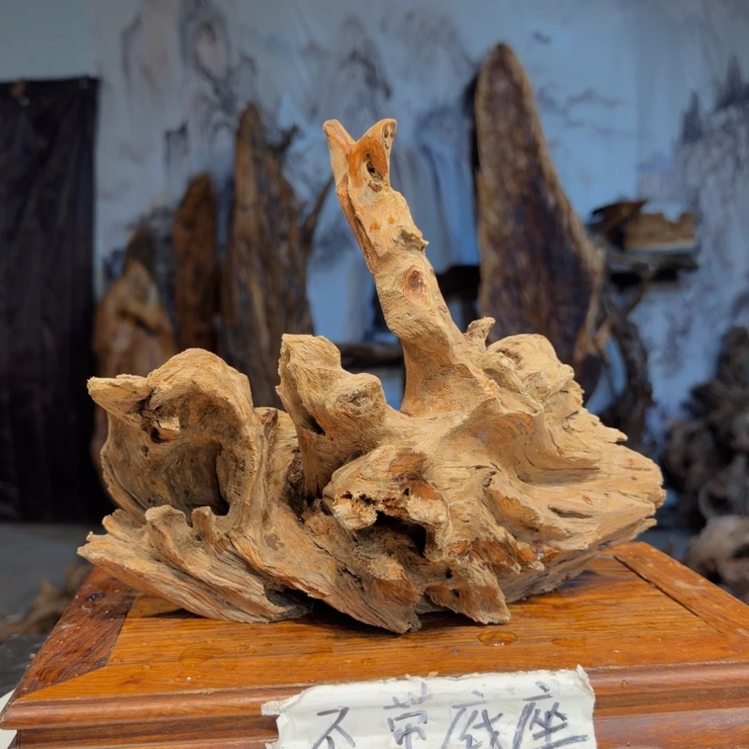 竹***毓木三丰琥珀木 天然摆件59