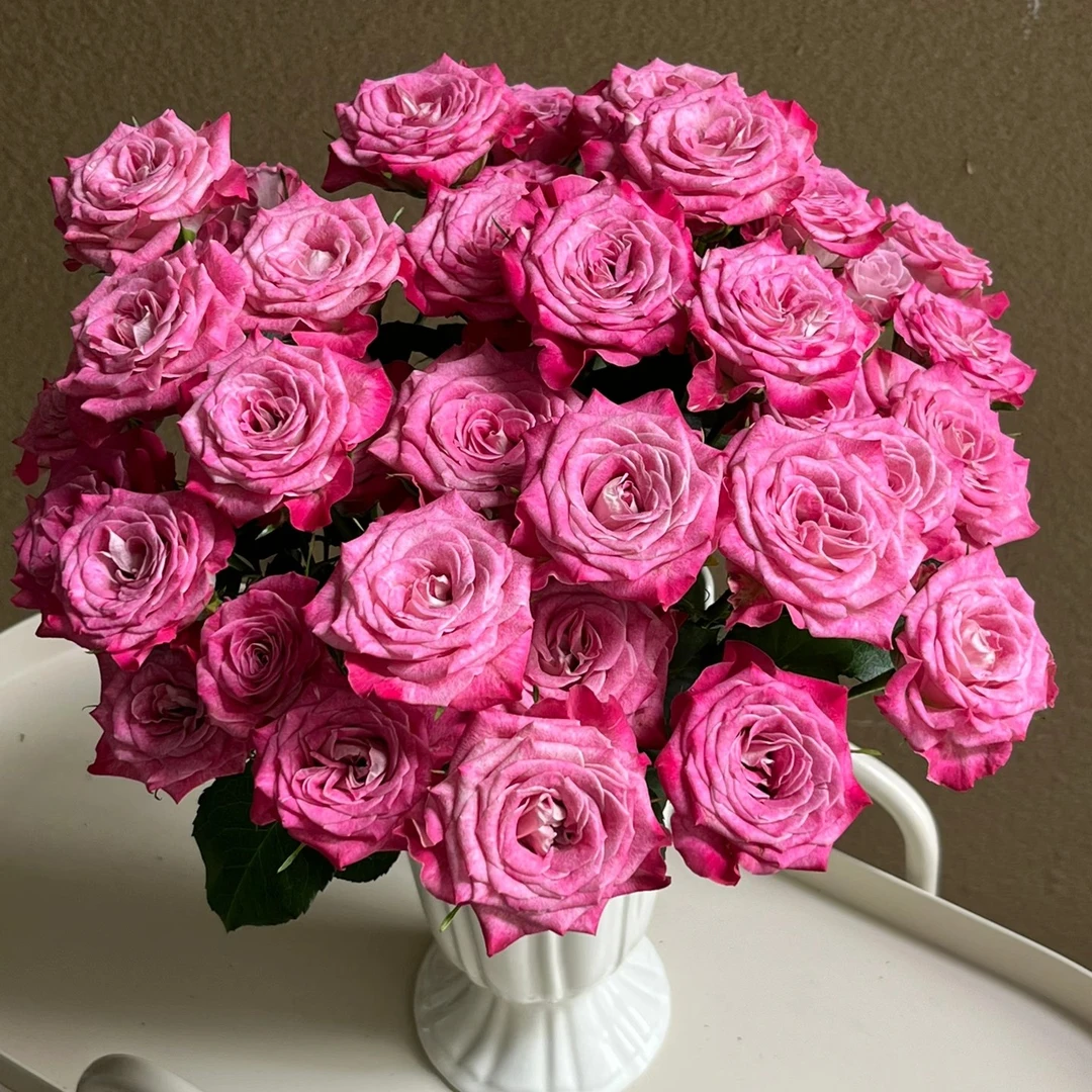 【粉色经典】小花苞玫瑰新鲜鲜切花云南昆明基地直发速递