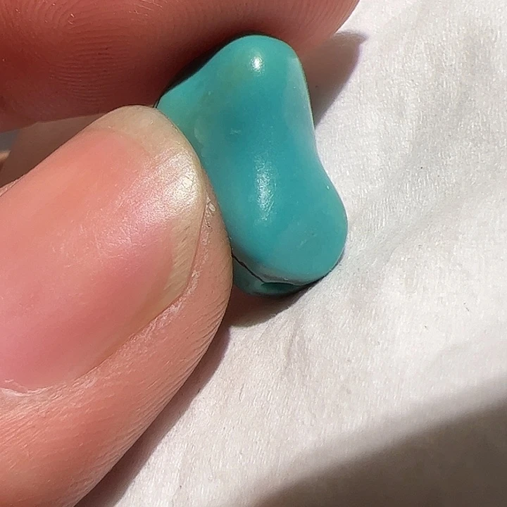 香榧木你的时候你