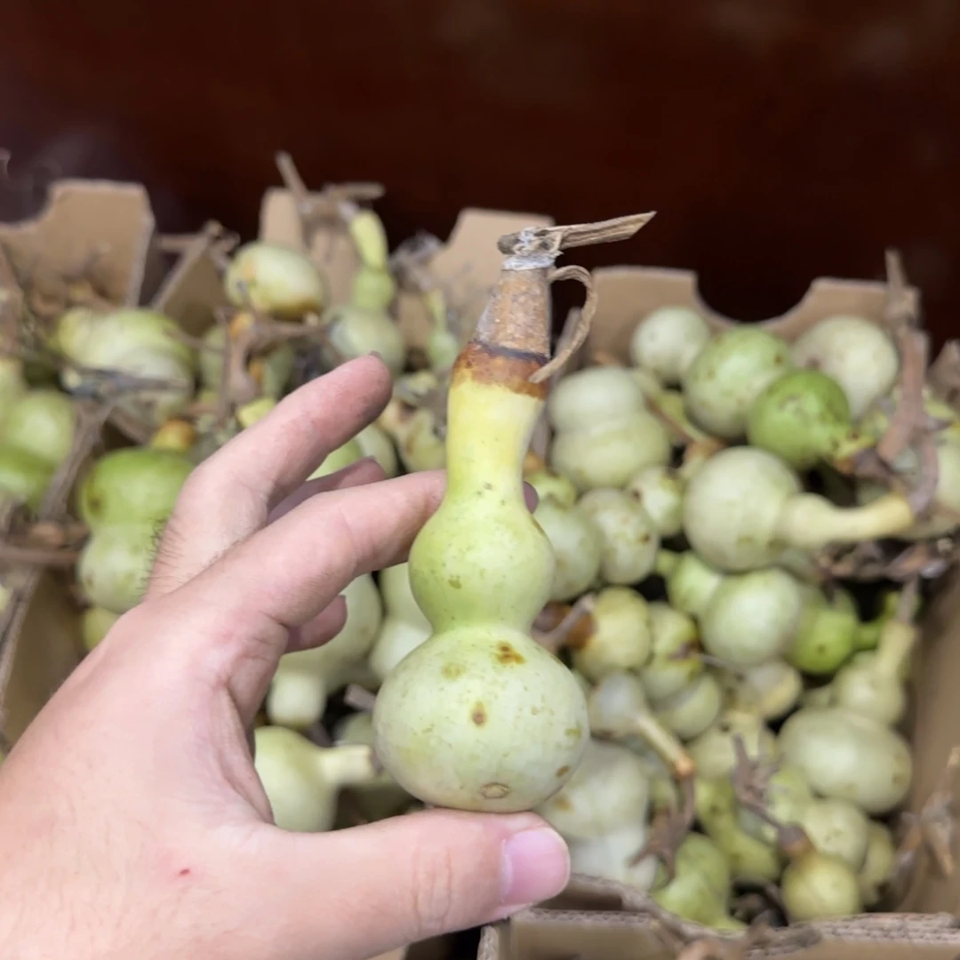 天***空青皮不包成 不退不换