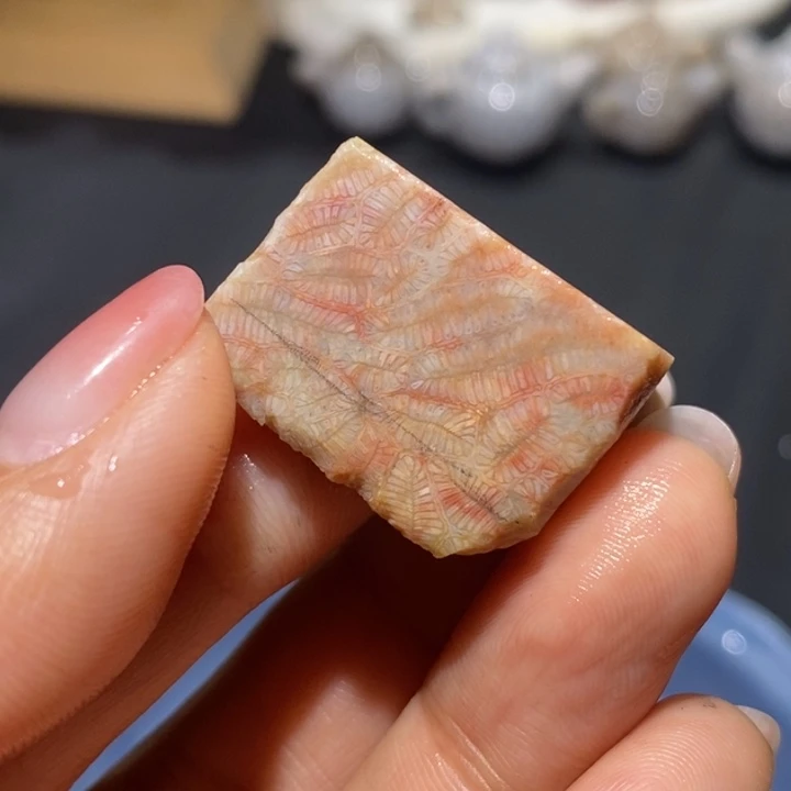 【闪购商品】未镶嵌珊瑚玉硅化玉