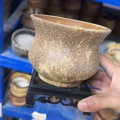 ·［送～白给塑料托盘］·